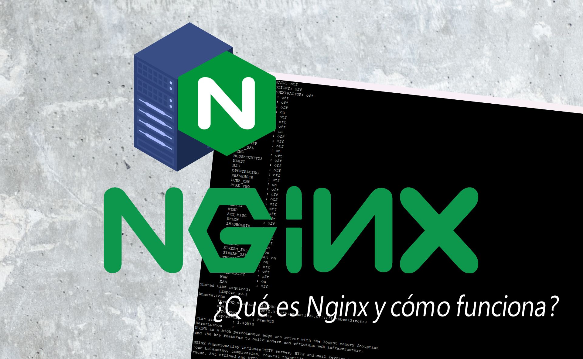 Nginx ¿Qué es y cómo funciona?